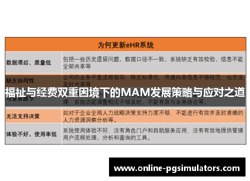 福祉与经费双重困境下的MAM发展策略与应对之道