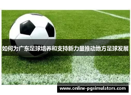 如何为广东足球培养和支持新力量推动地方足球发展