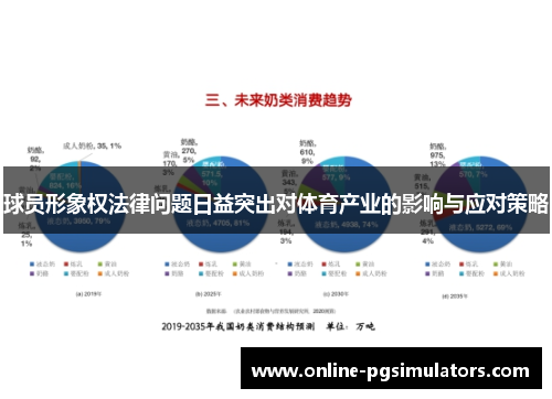 球员形象权法律问题日益突出对体育产业的影响与应对策略